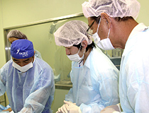 第13回セミナー風景