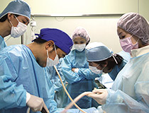 第19回セミナー風景