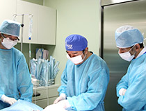 第22回セミナー風景