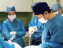 第29回セミナー風景